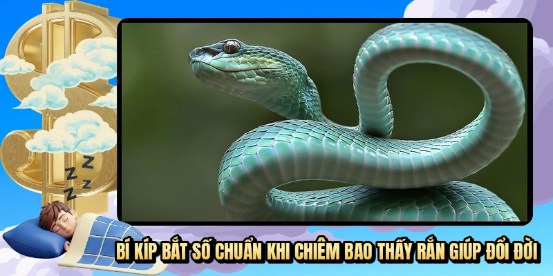 Bí kíp bắt số chuẩn khi chiêm bao thấy rắn giúp đổi đời
