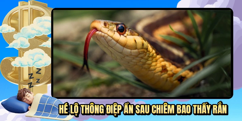 Hé lộ thông điệp ẩn sau chiêm bao thấy rắn
